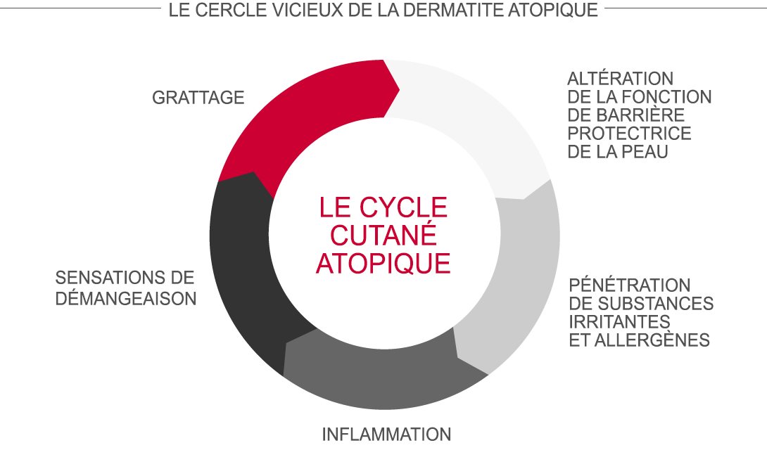Les helminthes chez le chat le forum